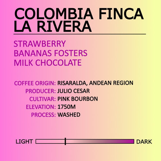 Colombia Finca La Rivera Product Image