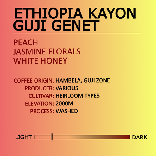 Ethiopia Kanyon Guji Genet Product Image