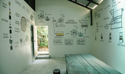 From Farm to Cup: The Sustainable Journey of Specialty Coffee