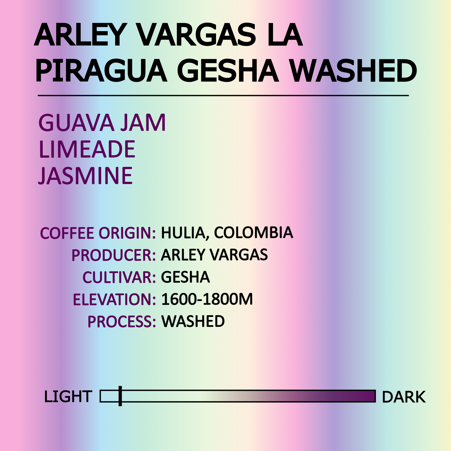 Arley Vargas La Piragua Gesha Washed