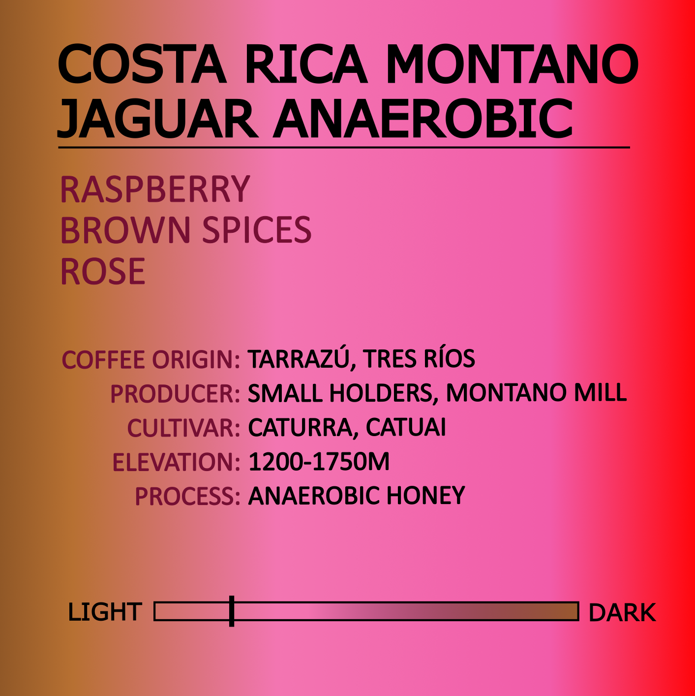 Costa Rica Montano Jaguar Anaerobic