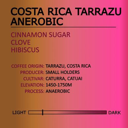 Costa Rica Tarrazú Anaerobic