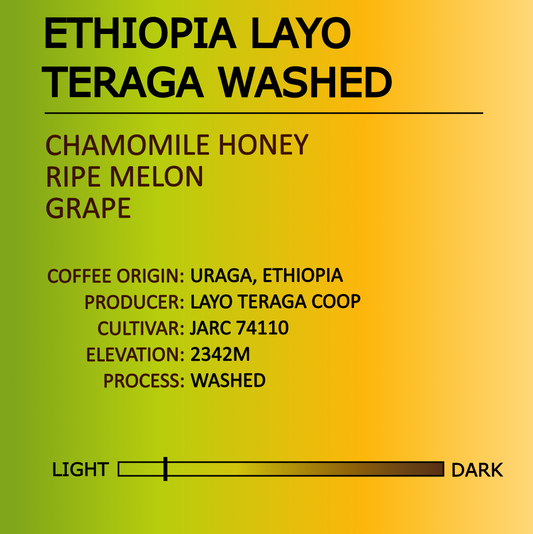 Ethiopia Layo Teraga Washed