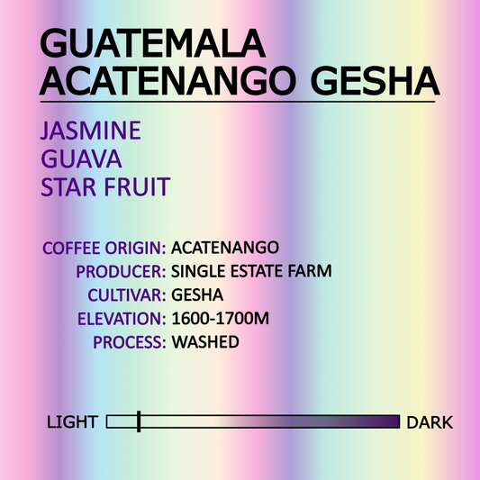 Guatemala Acatenango Gesha